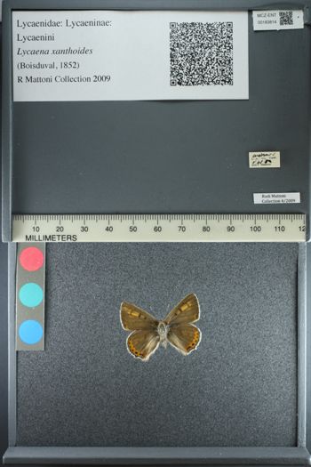 Media type: image;   Entomology 183814